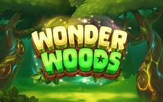 Слот Wonder Woods - играть бесплатно онлайн