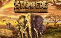 Слот Stampede - играть бесплатно онлайн