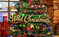 Слот Wild Christmas - играть бесплатно онлайн