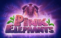 Слот Pink Elephants - играть бесплатно онлайн